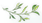 _0